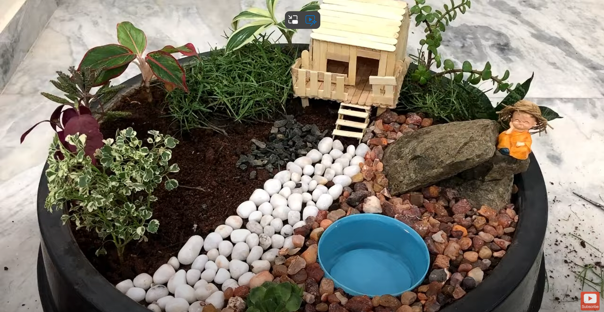 Simple Steps to a Mini Garden Wonderland: A Beginner’s Blueprint!