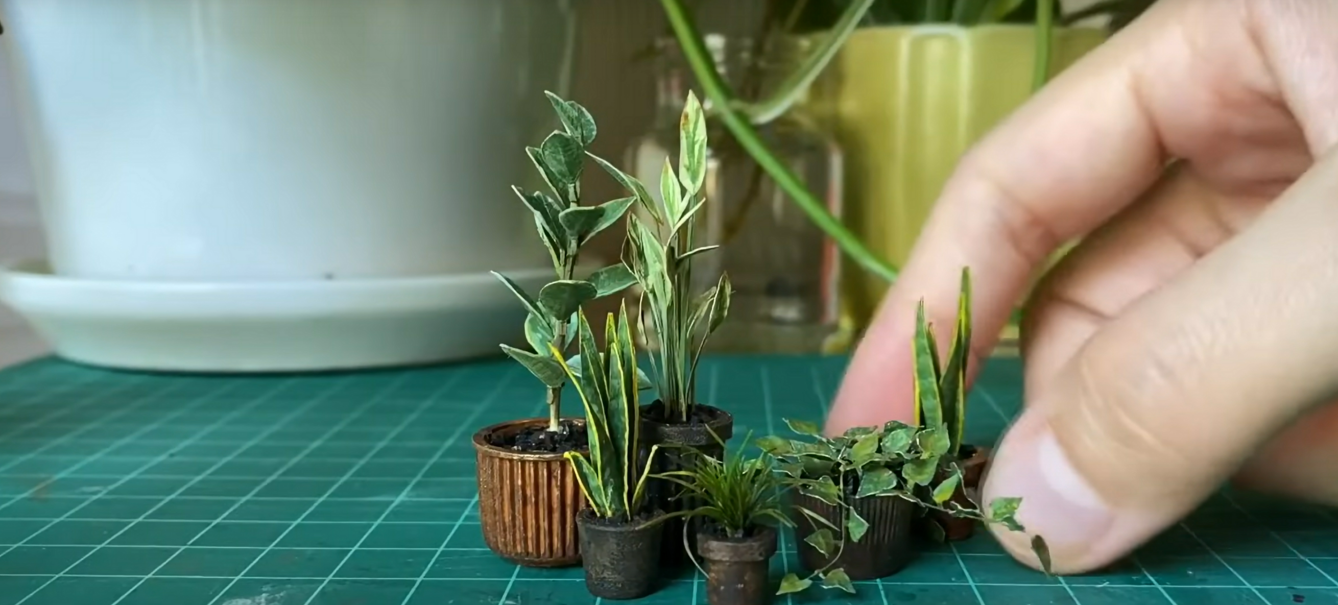 Miniature Houseplant