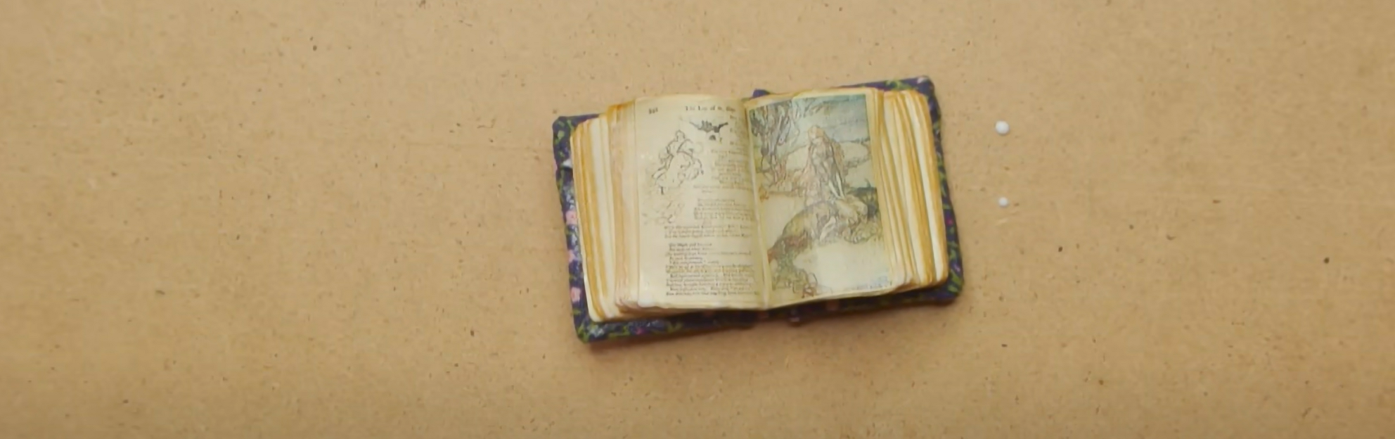 Miniature Tiny Book